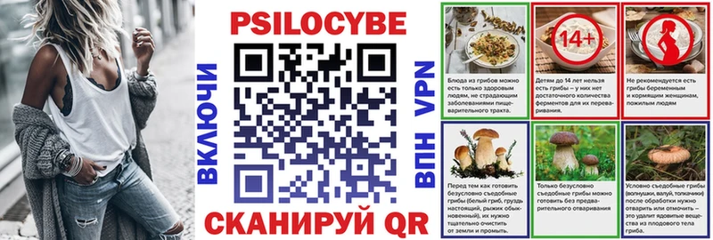 где можно купить   Бородино  Псилоцибиновые грибы MAGIC MUSHROOMS 